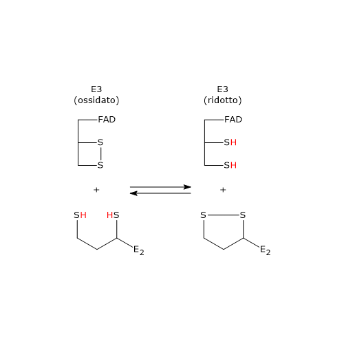 Ossidazione della diidrolipoammide da parte della diidrolipoil deidrogenasi