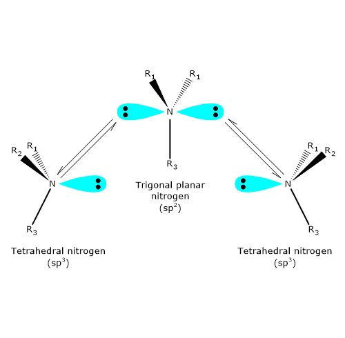 Nitrogen inversion in a tertiary amine