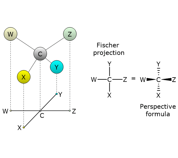 How to draw Fischer projections of molecules with one chiral center