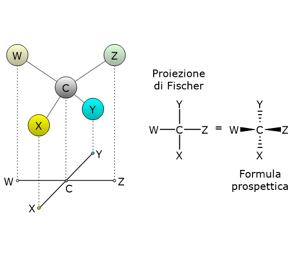 Come disegnare le proiezione di Fischer di una molecola con un centro chirale