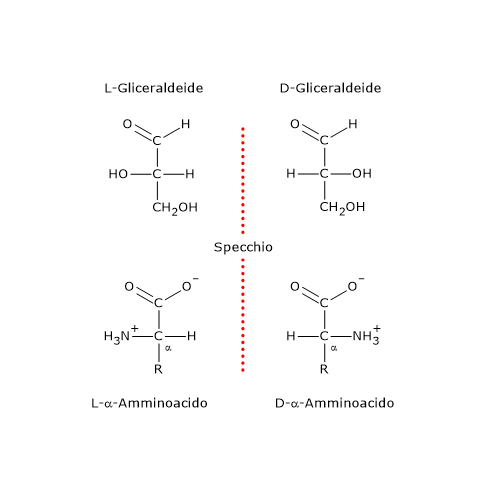 Alfa-Amminoacidi della serie D e della serie L secondo la convenzione di Fischer-Rosanoff