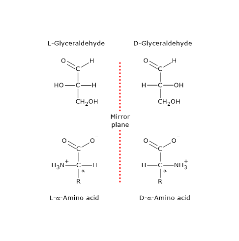 Fischer-Rosanoff convention and alpha-amino acids of the D-series and L-series