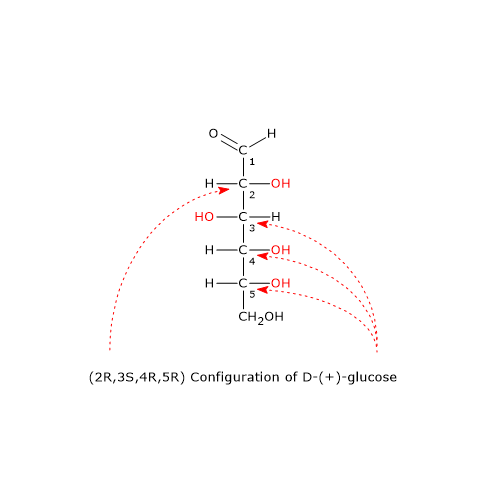 Asymmetric centers of D-(+)-Glucose