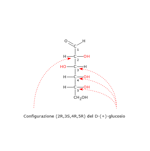 Centri asimmetrici del D-(+)-glucosio