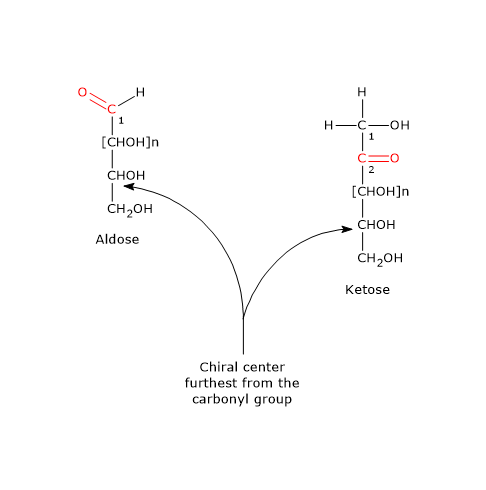 Aldoses, ketoses, carbonyl carbon, and asymmetric center taken as the reference center