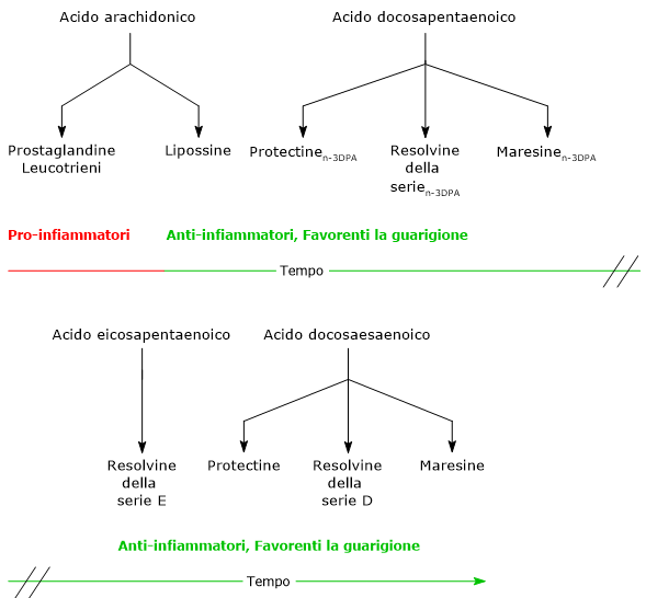 Mediatori lipidici antinfiammatori e pro-infiammatori derivati dallo acido docosaesaenoico e arachidonico