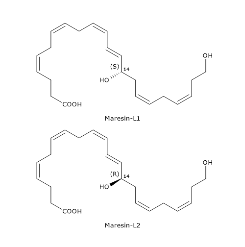 Skeletal formulas of Maresin L1 and Maresin L2, derivatives of DHA