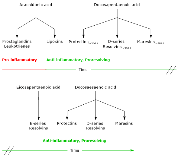 Specialized pro-resolving and pro-inflammatory mediators derived from docosahexaenoic acid