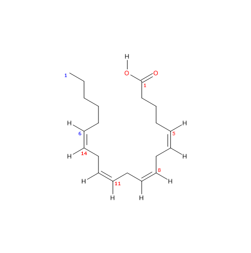 Formula di struttura dello acido arachidonico, un acido grasso omega-6