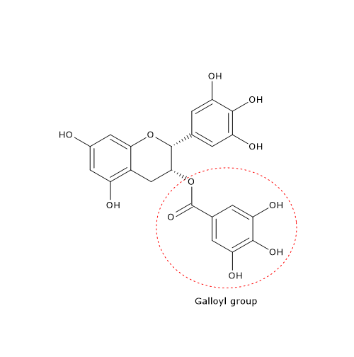 Skeletal formula of epigallocatechin gallate, a catechin, and one of the tea polyphenols