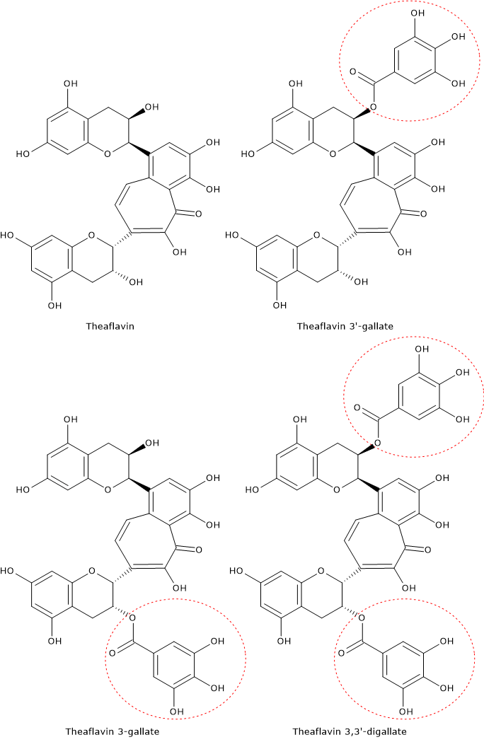 Skeletal formulas of theaflavins, dimers of catechins present in black tea