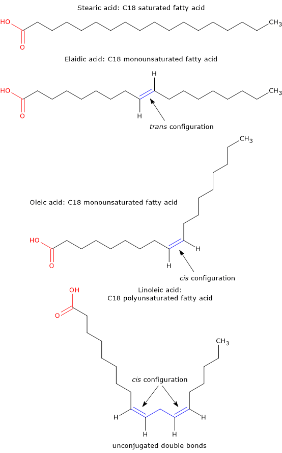 Examples and skeletal formulas of saturated, unsaturated, conjugated and unconjugated fatty acids