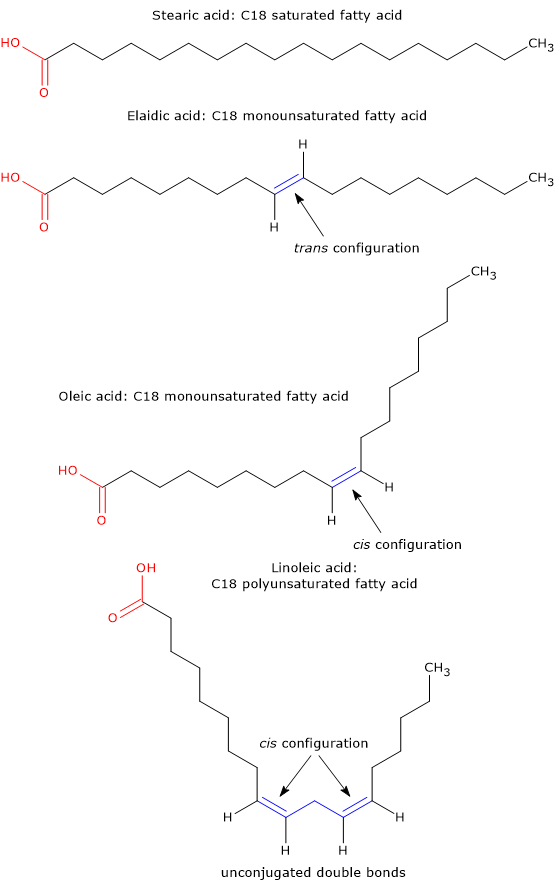 Examples of saturated, unsaturated, and unconjugated fatty acids