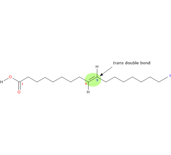Skeletal formula of elaidic acid, a trans fatty acid