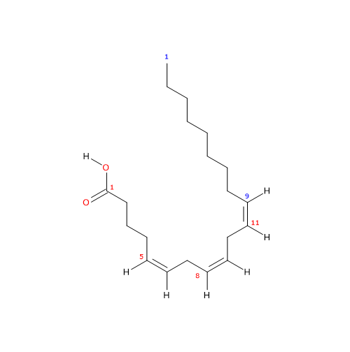 Skeletal formula of Mead acid, an unsaturated fatty acid