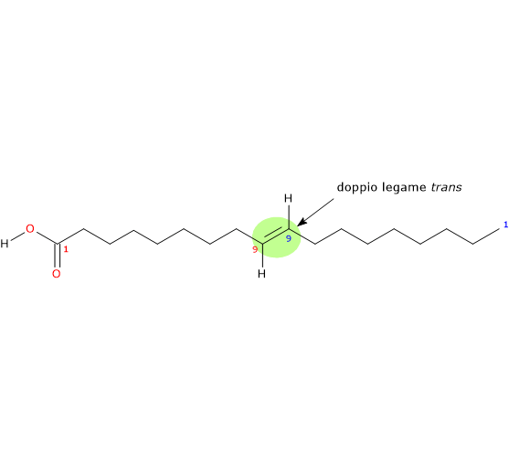 Formula di struttura dello acido elaidico, un acido grasso trans
