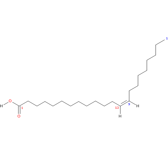 Formula di struttura dello acido erucico, acido grasso insaturo