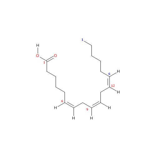 Formula di struttura dello acido gamma-linolenico, acido grasso omega-6