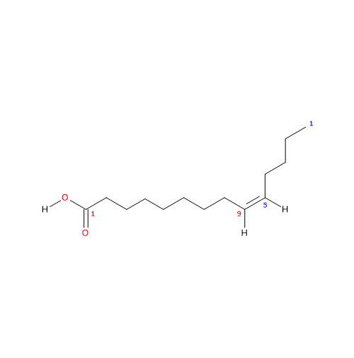 Formula di struttura dello acido miristoleico, acido grasso insaturo
