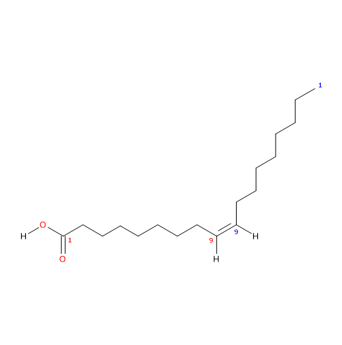 Formula di struttura dello acido oleico, un acido grasso insaturo