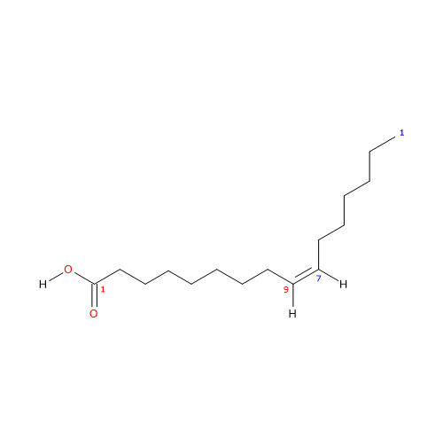 Formula di struttura dello acido palmitoleico, acido grasso insaturo