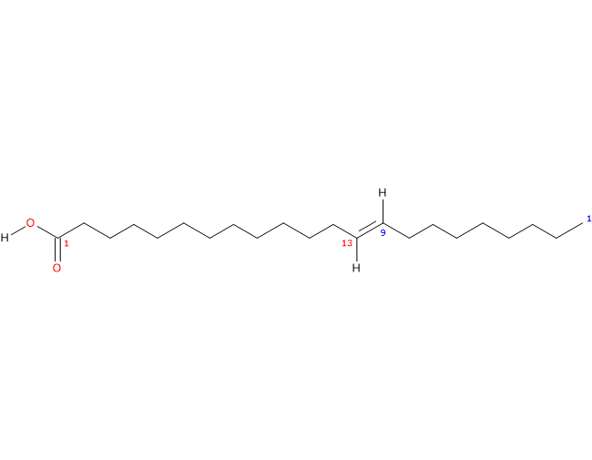 Skeletal formula of brassidic acid, a trans fatty acid