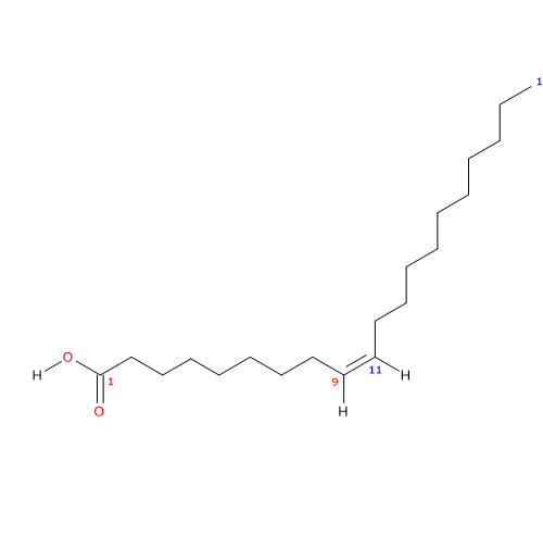 Structural formula of gadoleic acid, an unsaturated fatty acid
