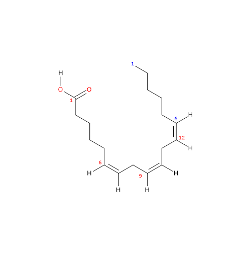 Skeletal formula of gamma-linolenic acid, an omega-6 fatty acid