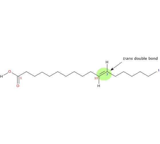 Skeletal formula of vaccenic acid, a trans fatty acid