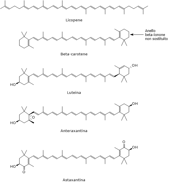 Formula di struttura di alcuni carotenoidi