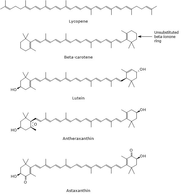 Skeletal formulas of some carotenoids