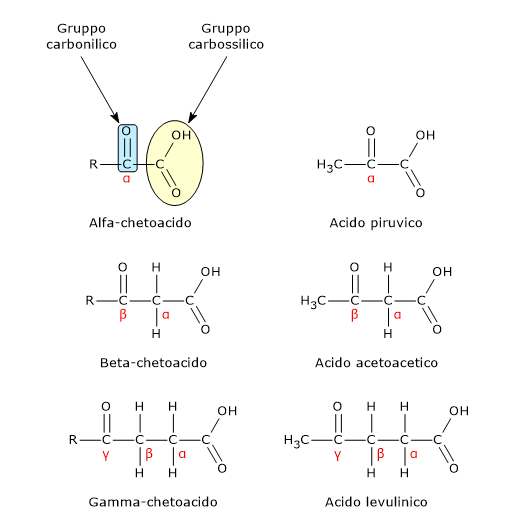 Struttura chimica dei chetoacidi con esempi