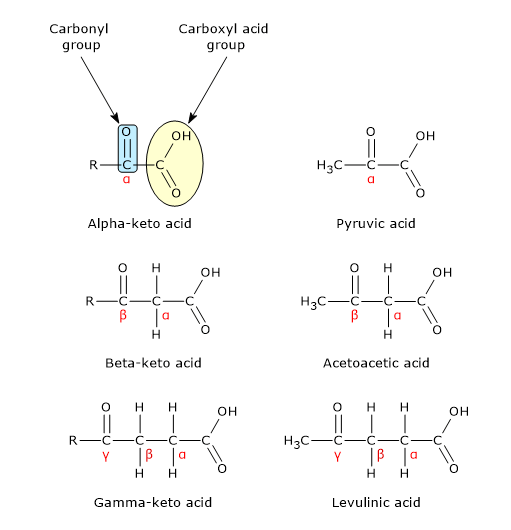 Chemical structure of keto acids with examples