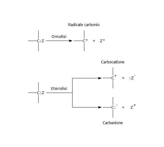 Eterolisi e omolisi: formazione di carbanioni, carbocationi e radicali liberi