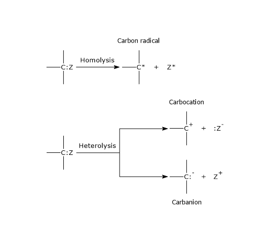 Heterolysis and homolysis: formation of carbanions, carbocations and free radicals