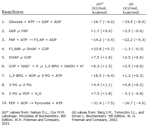 ΔG values of glycolysis reactions showing exergonic and irreversible steps under physiological conditions.