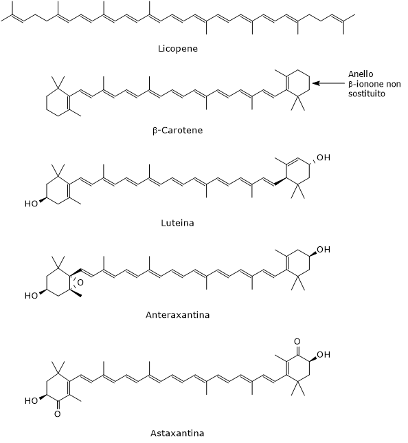 Formule di struttura di carotenoidi tra cui licopene, β-carotene, luteina, anteraxantina e astaxantina, con una freccia che nel β-carotene evidenzia l’anello beta-ionone non sostituito.