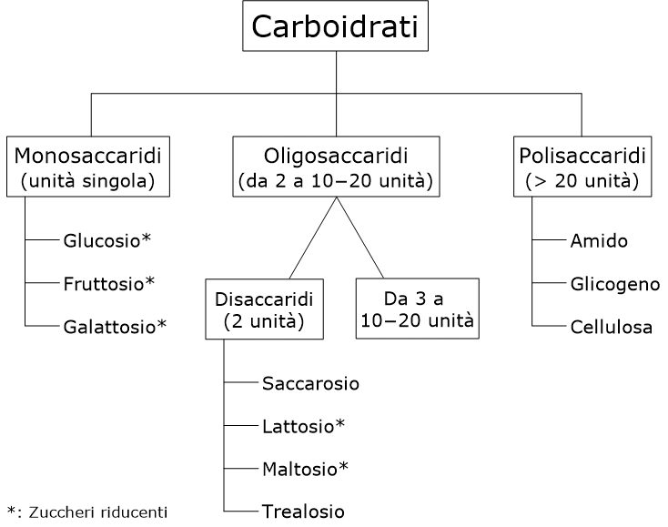 Schema della classificazione chimica dei carboidrati in monosaccaridi, oligosaccaridi e polisaccaridi, con esempi rappresentativi e indicazione degli zuccheri riducenti (monosaccaridi, lattosio e maltosio).