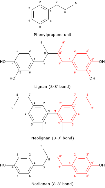 Comparison of the skeletal structures of the phenylpropane unit, lignans and norlignans with an 8-8' bond, and neolignans with a 3-3' bond.